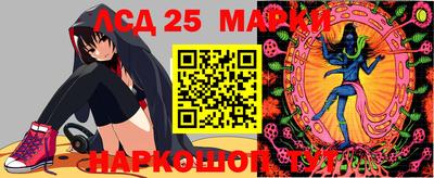спиды Коммунар