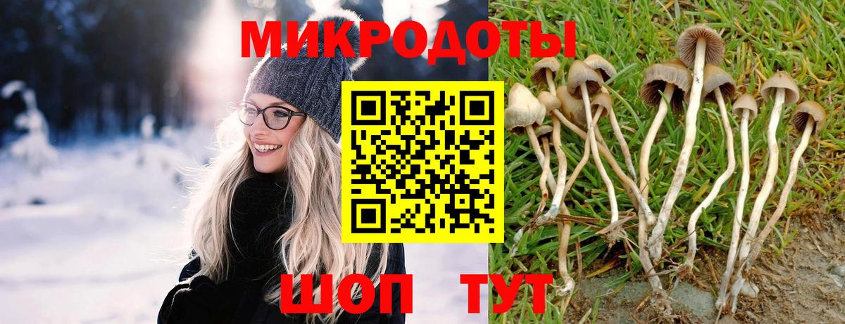 Псилоцибиновые грибы Psilocybe  Вход с VPN  Лосино-Петровский 